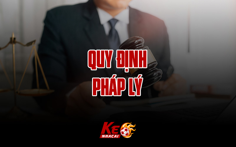 Điều khoản sử dụng